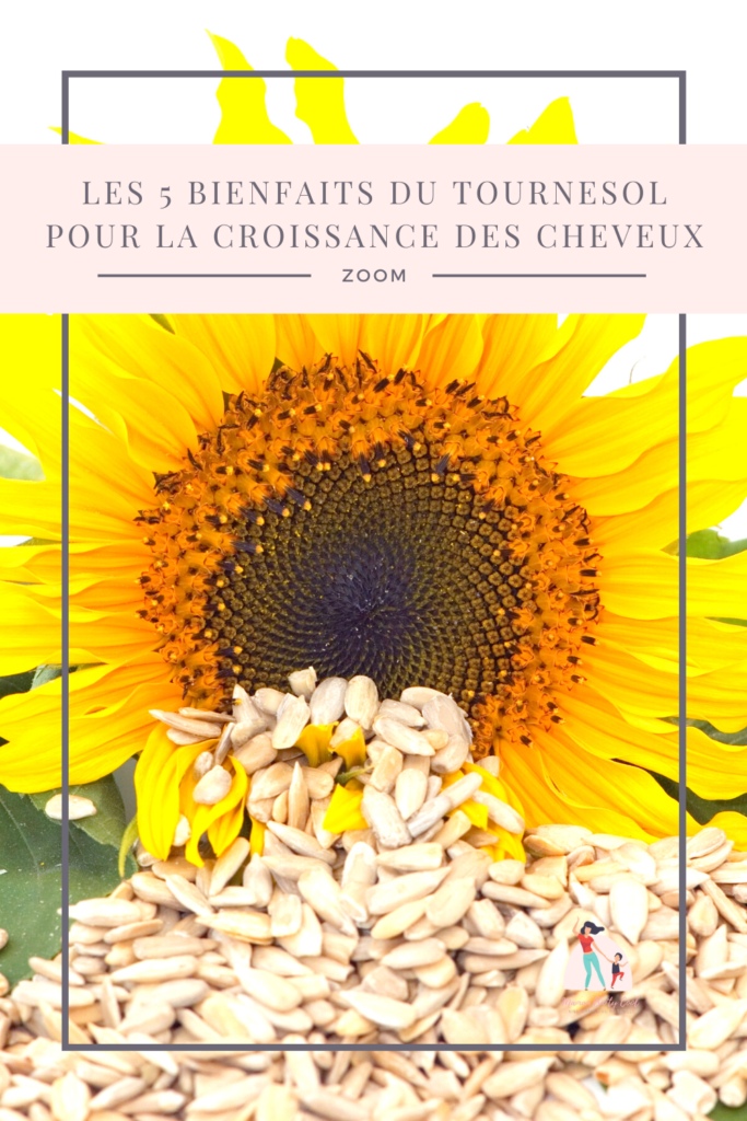 Les graines de tournesol sont une source importante de vitamine E et autres acides gras essentiels pour la croissance des cheveux. Découvrez les 5 bienfaits du tournesol pour la santé des cheveux!